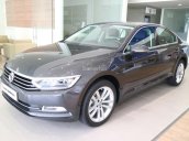 Passat Comfort hỗ trợ 100% trước bạ trong tháng 02/2020, xe giao ngay - hỗ trợ vay 90%