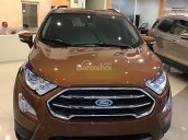 Bán xe Ford EcoSport Titanium 1.0 EcoBoost đời 2018, màu nâu, giá tốt