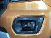 Bán ô tô Ford Ranger Wildtrak 2.0 biturbo đời 2018 nhập khẩu nguyên chiếc, đủ màu, giá tốt, LH 0941921742