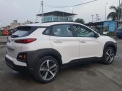 Bán xe Hyundai Kona 2.0AT đặc biệt, 2018, xe mới, hỗ trợ trả góp, LH 0973.160.519