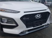 Bán xe Hyundai Kona 2.0AT đặc biệt, 2018, xe mới, hỗ trợ trả góp, LH 0973.160.519