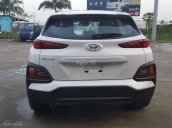 Bán xe Hyundai Kona 2.0AT đặc biệt, 2018, xe mới, hỗ trợ trả góp, LH 0973.160.519