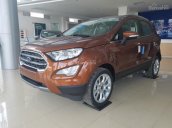 Bán Ford EcoSport Titanium 2018 xe giao ngay - LH: 0973.904.892