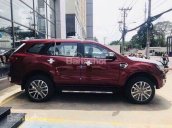 Ford Lào Cai: Cung cấp các phiên bản của Ford Everest 2019 sớm nhất