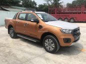 Bán ô tô Ford Ranger năm sản xuất 2018, màu cam, nhập khẩu nguyên chiếc, hỗ trợ trả góp 90%