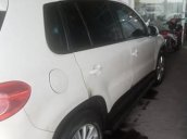 Bán Volkswagen Tiguan 2010, màu trắng, nhập khẩu