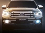 Bán Ford Everest 2018, nhập khẩu nguyên chiếc, xe sẵn giao ngay, LH ngay 093 1234 768