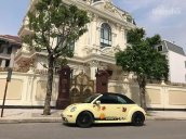 Cần bán Volkswagen New Beetle 2008, nhập khẩu