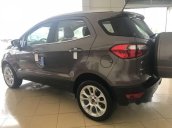 Bán Ford EcoSport năm 2018, màu xám