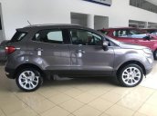 Bán Ford EcoSport năm 2018, màu xám