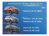 Cần bán xe Ford Everest 2.0 Ambient năm sản xuất 2019 màu vàng, nhập khẩu