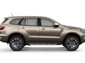 Cần bán xe Ford Everest 2.0 Ambient năm sản xuất 2019 màu vàng, nhập khẩu