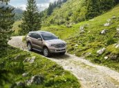 Cần bán xe Ford Everest 2.0 Ambient năm sản xuất 2019 màu vàng, nhập khẩu