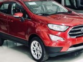 Ford EcoSport 2018, màu đỏ, KM, BHTV, bậc lên xuống, camera hành trình, dán film, sàn da, LH 096.147.1536 em Hòa