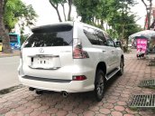 Bán xe Lexus GX GX460 năm sản xuất 2018, màu trắng, nhập khẩu Mỹ