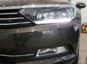 Bán Volkswagen Passat Bluemotion 2017, màu nâu, nhập khẩu nguyên chiếc