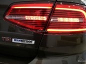 Bán Volkswagen Passat Bluemotion 2017, màu nâu, nhập khẩu nguyên chiếc