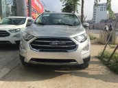 Bán Ford EcoSport 2018, hỗ trợ trả góp 90%. Đăng kí, đăng kiểm nhanh chóng miễn phí