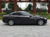 Bán xe BMW 5 Series 520i sản xuất năm 2015, màu đen 