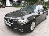 Bán xe BMW 5 Series 520i sản xuất năm 2015, màu đen 