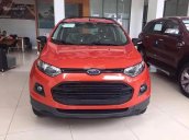 Bán Ford EcoSport Titanium Black 1.5L AT 2017 