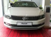 Bán ô tô Volkswagen Passat Blue Motion đời 2017, màu trắng, nhập khẩu nguyên chiếc