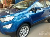 Bán Ford EcoSport 2018, tặng ngay BHTV, bậc lên xuống, camera hành trình, dán film, sàn da, LH: 096.147.1536