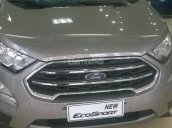 Cần bán Ford EcoSport đời 2018, màu bạc, giá ưu đãi LH 0933906119