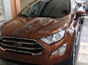 Bán xe Ford EcoSport Titanium 2018