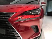 Lexus Thăng Long bán Lexus NX 300 sản xuất năm 2018, màu đỏ, xe nhập