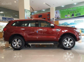 Cần bán Ford Everest sản xuất 2018 đủ màu giao ngay, giá 1 tỷ 177 triệu