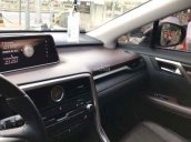 Bán Lexus RX 350 đời 2017, màu xám, xe nhập