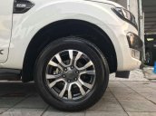 Bán Ford Ranger 3.2L Wildtrak 4x4 AT đời 2016, màu trắng, nhập khẩu