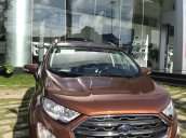 Bán Ford Ecosport Titanium 1.0L Ecoboost màu đỏ rồng