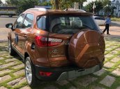 Bán Ford Ecosport Titanium 1.0L Ecoboost màu đỏ rồng