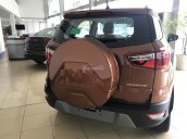 Bán Ford EcoSport giá siêu tốt, chỉ 138 triệu có xe mới 100% đi ngay