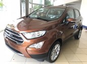 Bán Ford EcoSport giá siêu tốt, chỉ 138 triệu có xe mới 100% đi ngay