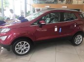 Bán Ford EcoSport Titanium 1.5L AT 2018, màu đỏ