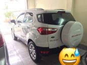 Bán Ford Ecosport Titanium sản xuất 2014 đăng kí 1/2015, biển số thành phố