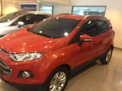 Bán Ford EcoSport Titanium năm sản xuất 2015, xe một đời chủ