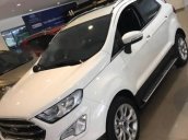 Xe Ford EcoSport năm sản xuất 2018, màu trắng 