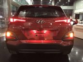 Bán Hyundai Kona năm sản xuất 2018, giá tốt