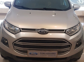 Bán xe Ford Ecosport số sàn, sx 2015, màu bạc