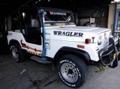 Cần bán gấp Jeep Wrangler năm 2002, màu trắng, nhập khẩu