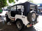 Cần bán gấp Jeep Wrangler năm 2002, màu trắng, nhập khẩu