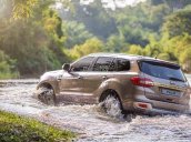 Bán Ford Everest Titanium động cơ Bi-Turbo năm sản xuất 2018, xe nhập