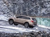 Bán Ford Everest Titanium động cơ Bi-Turbo năm sản xuất 2018, xe nhập