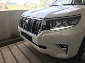 Bán Toyota Prado Prado VX 2018, màu trắng, nhập khẩu