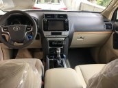 Bán Toyota Prado Prado VX 2018, màu trắng, nhập khẩu