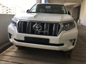 Bán Toyota Prado Prado VX 2018, màu trắng, nhập khẩu